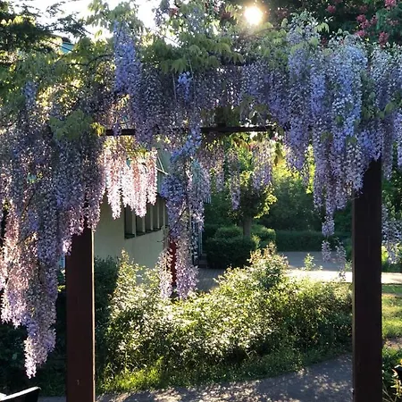 Esszimmer By F.mueller Westheim (Pfalz)