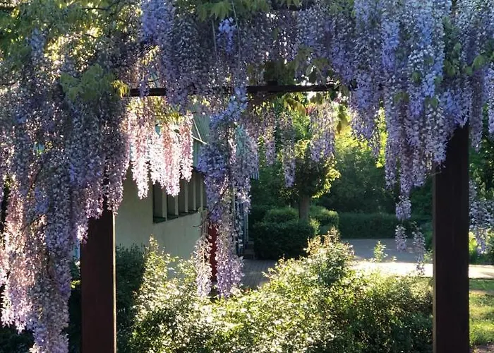 Esszimmer By F.mueller Westheim (Pfalz)